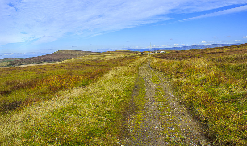 Shining Tor